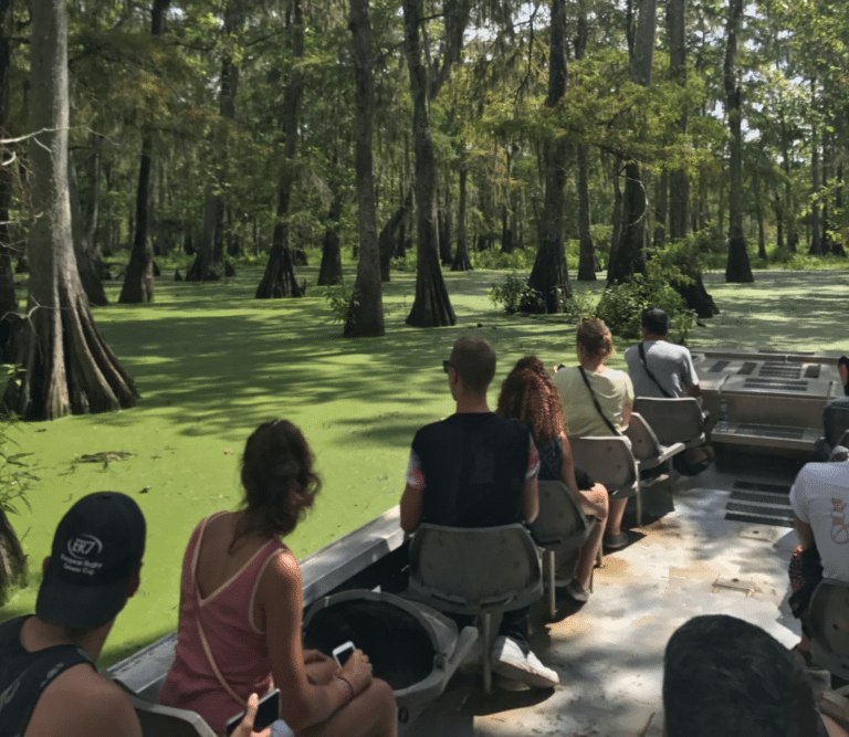 champagne swamp tours